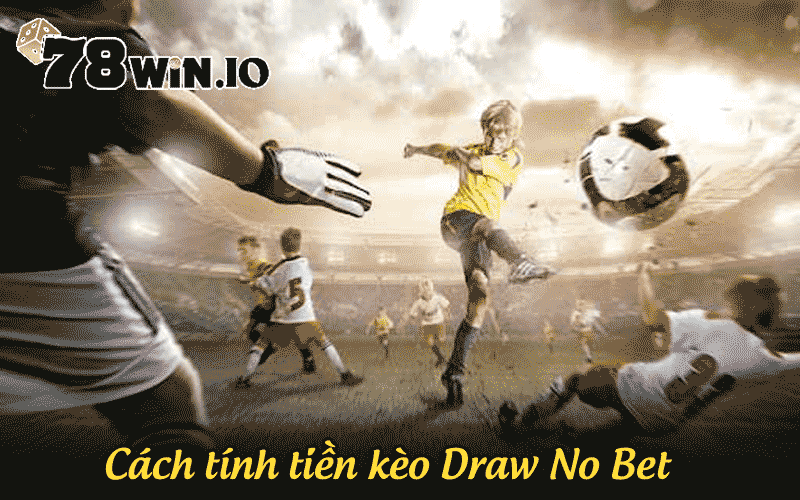 Cách tính tiền kèo Draw No Bet